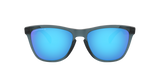 Oakley Frogskins Glasses-2