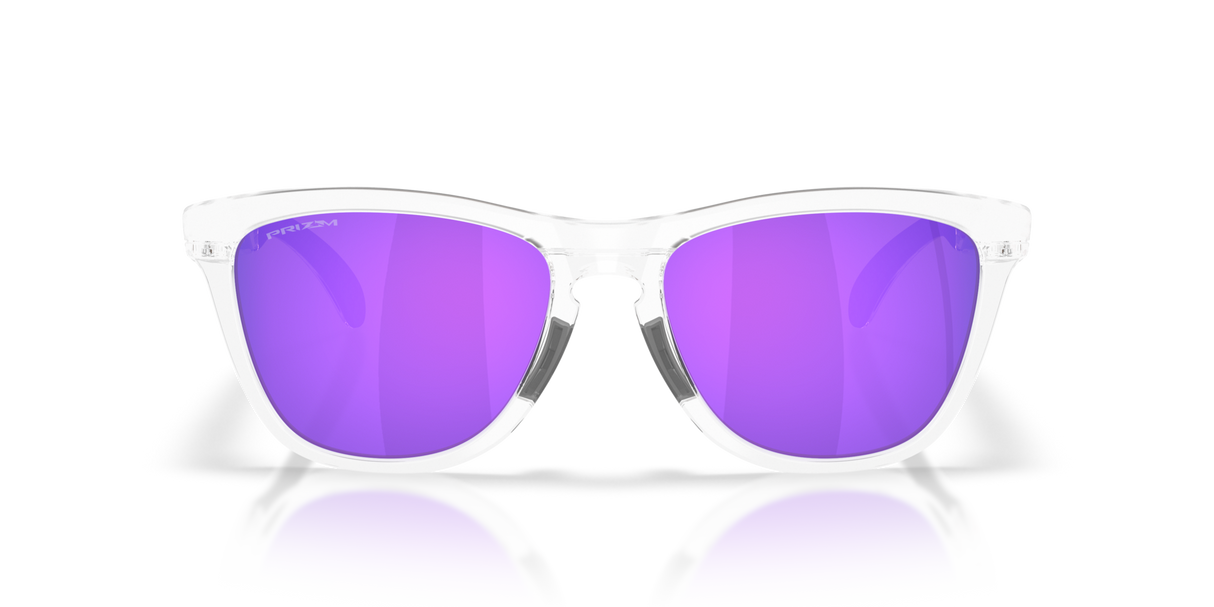 Oakley Frogskins Range XL A Glasses-8