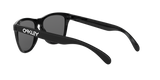 Oakley Frogskins Glasses-12