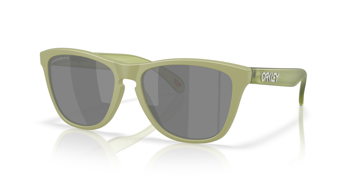 Oakley Frogskins Glasses-2