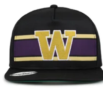 The Game Headwear Washington Retro Stripe School Logo Hat