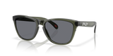 Oakley Frogskins Glasses-2