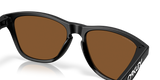 Oakley Frogskins S Glasses-7