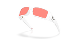 Oakley Gascan Glasses-5