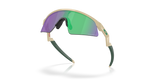Oakley Resistor Sweep Sunglasses-5