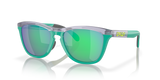 Oakley Frogskins Range Glasses-2