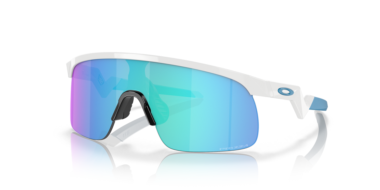 Oakley Resistor Sunglasses-2