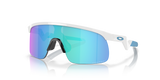 Oakley Resistor Sunglasses-2