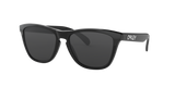 Oakley Frogskins Glasses-4