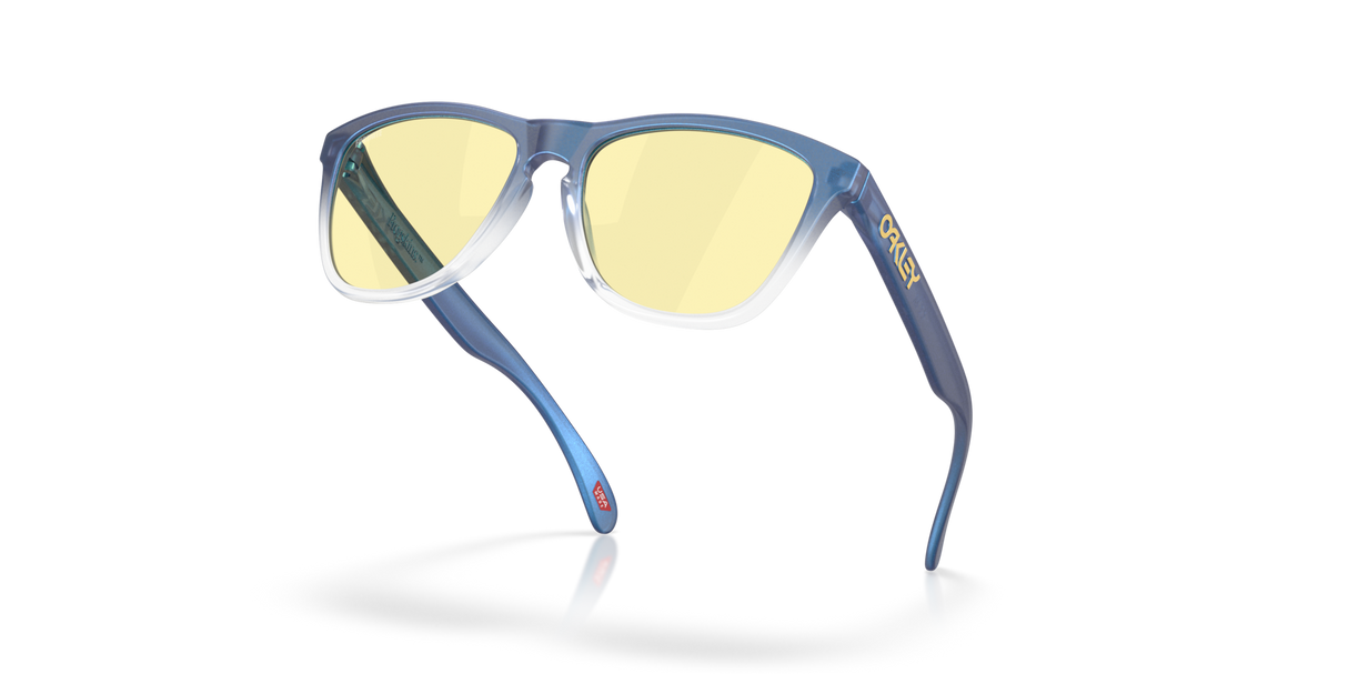 Oakley Frogskins Glasses-5