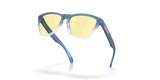 Oakley Frogskins Glasses-5