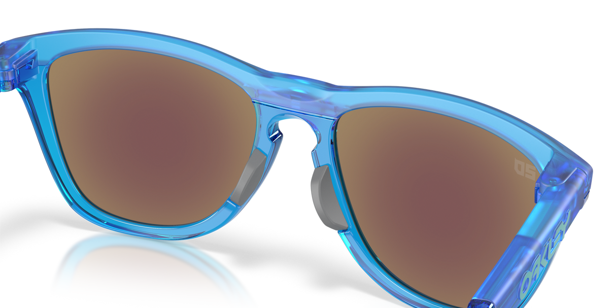 Oakley Frogskins Hybrid Glasses-7