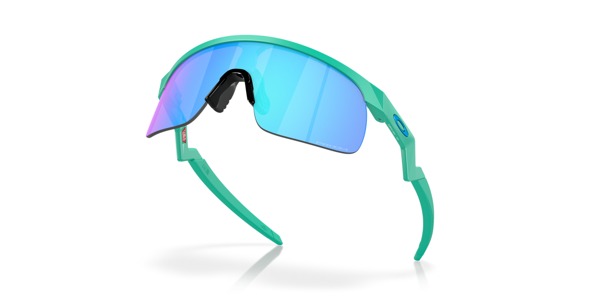 Oakley Resistor Sunglasses-5