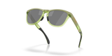 Oakley Frogskins Range XL Glasses-5