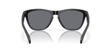 Oakley Frogskins Glasses-4