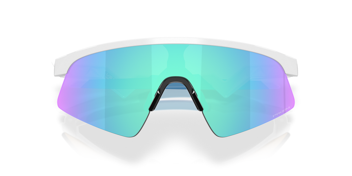 Oakley Resistor Sweep Sunglasses-9