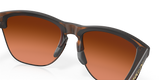 Oakley Frogskins Lite Glasses-11