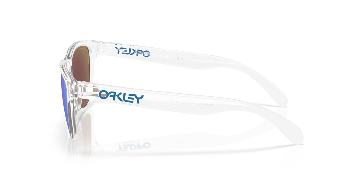 Oakley Frogskins S Glasses-3