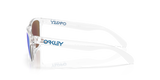 Oakley Frogskins S Glasses-3