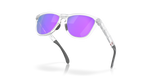 Oakley Frogskins Range Glasses-5