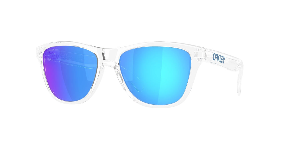 Oakley Frogskins S Glasses-1
