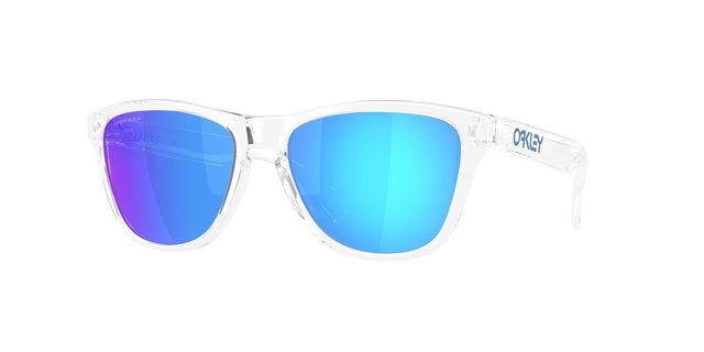 Oakley Frogskins S Glasses-1