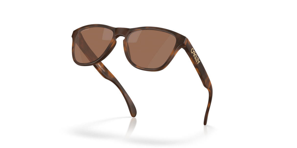 Oakley Frogskins S Glasses-5