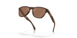 Oakley Frogskins S Glasses-5