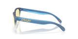 Oakley Frogskins Glasses-3