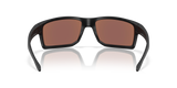 Oakley Gibston XL Glasses-4