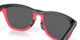 Oakley Frogskins Hybrid Glasses-7