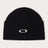 Oakley Ellipse Ribbed Beanie-1