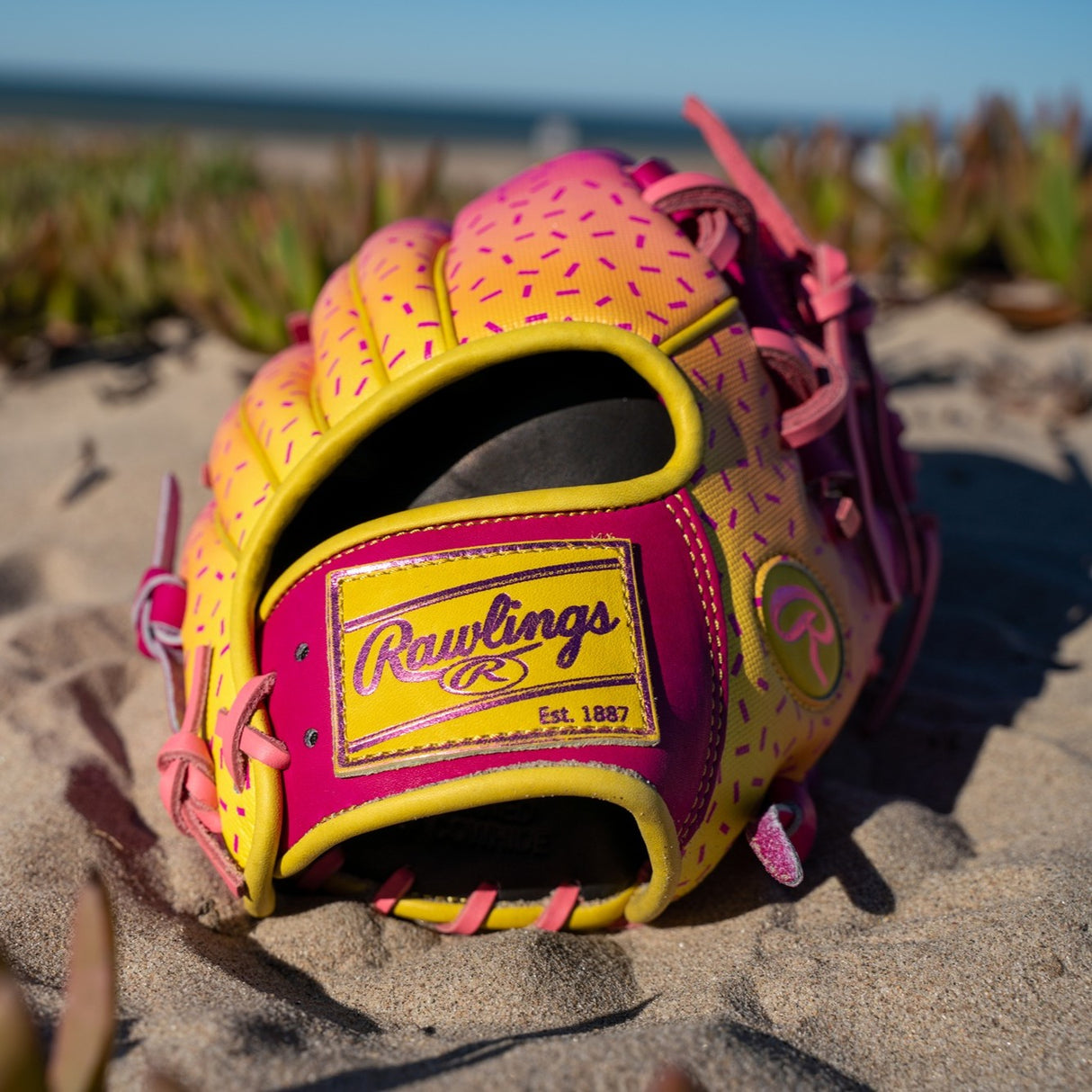Rawlings Heart Of the Hide Spring Break 11.5" PROR204 Infield Baseball Glove Baseball Gloves & Mitts All