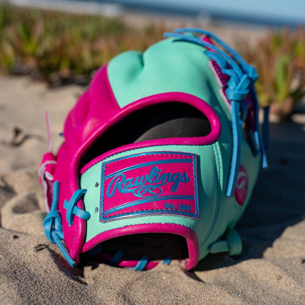Rawlings Heart Of the Hide Spring Break 11.5" PROR204 Infield Baseball Glove Baseball Gloves & Mitts All