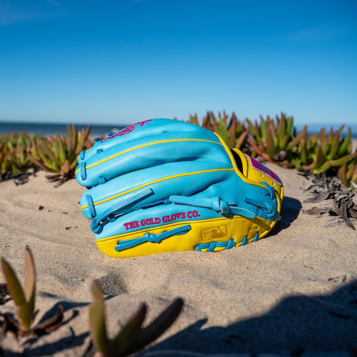 Rawlings Heart Of the Hide Spring Break 11.5" PROR204 Infield Baseball Glove Baseball Gloves & Mitts All