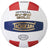 Tachikara Premium Leather Competition Volleyball