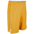 Champro Women's Elite Basketball Shorts Basketball Shorts Adult