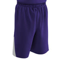 Champro Men's Dri-Gear Pro-Plus Reversible Basketball Shorts Basketball Shorts Adult