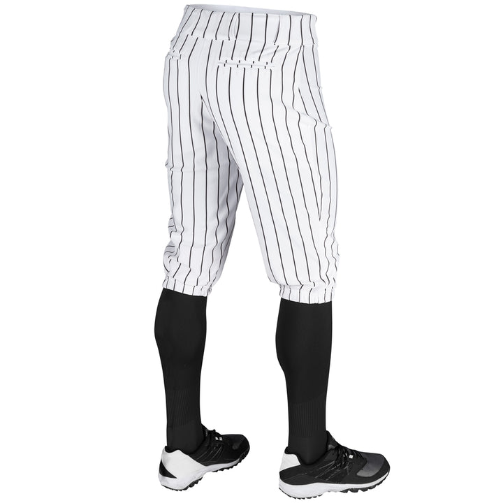 Champro Men's Triple Crown Knicker Pinstripe Baseball Pant