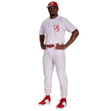 Champro Youth Triple Crown Pinstripe Baseball Pants Baseball Pants Youth