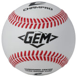 Champro All Weather Practice Ball - Dozen