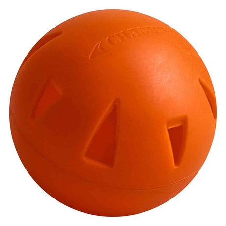Champro One Dozen Brute Baseball Training Poly Balls