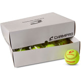 Champro One Dozen 10" Safe-T-Softballs-5