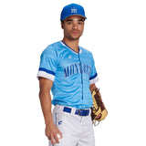 Custom Full Button Fitted Jersey Team Baseball Jerseys