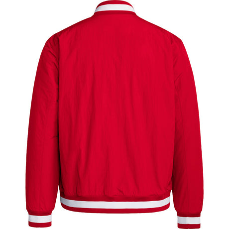 adidas Men's Basecoach Baseball Jacket Baseball Cage Jackets All