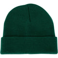 Champro Polar Cuff Beanie Champro