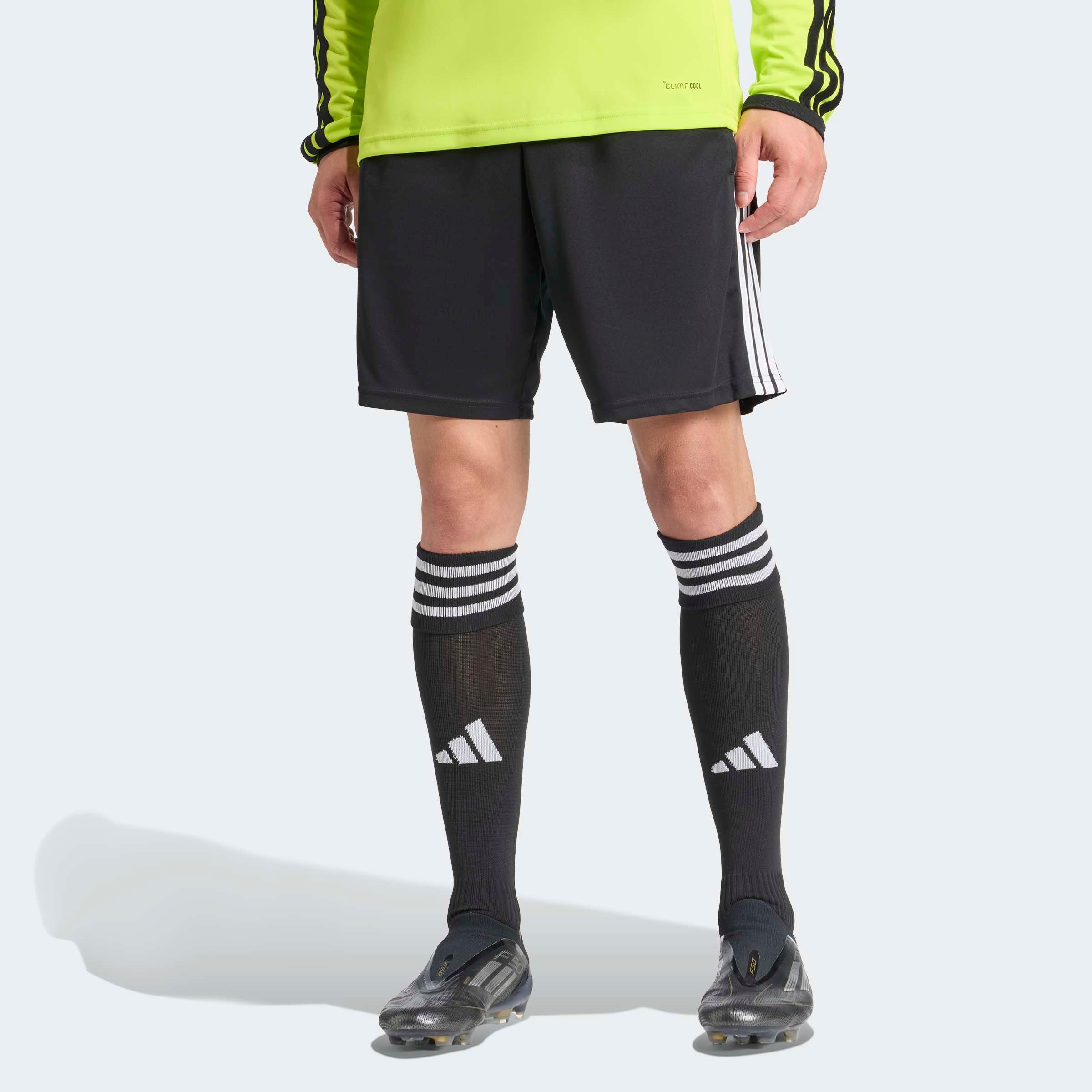 adidas Men's Referee 26 Soccer Shorts | League Outfitters
