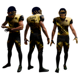 Custom Elite Sublimated Football Jerseys