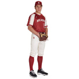 Custom Knicker Pant Team Baseball Pants
