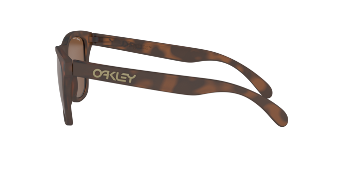 Oakley Frogskins Glasses-8